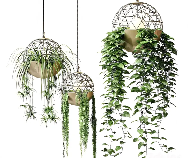 Atelier Schroeter Luminaires With Hanging Plants