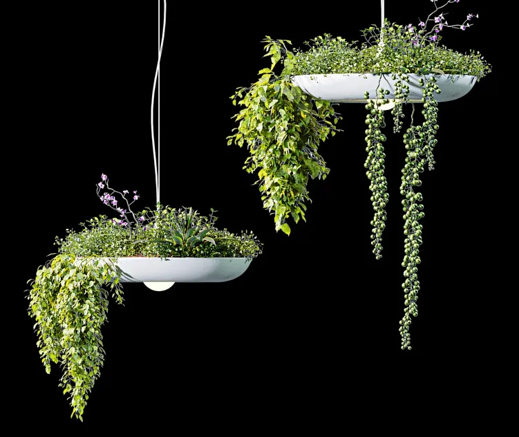 Chandelier Plant Pot