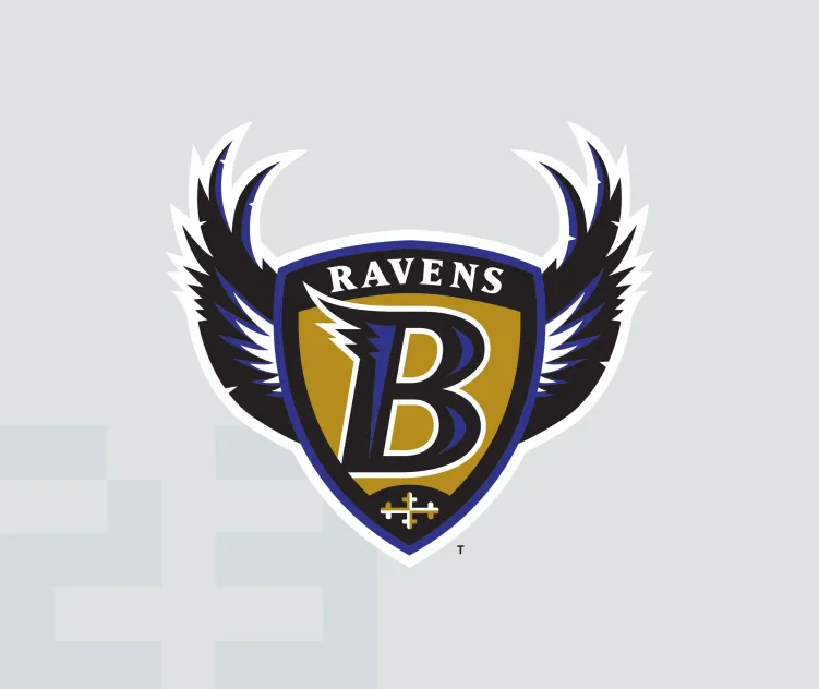 Baltimore ravens 8