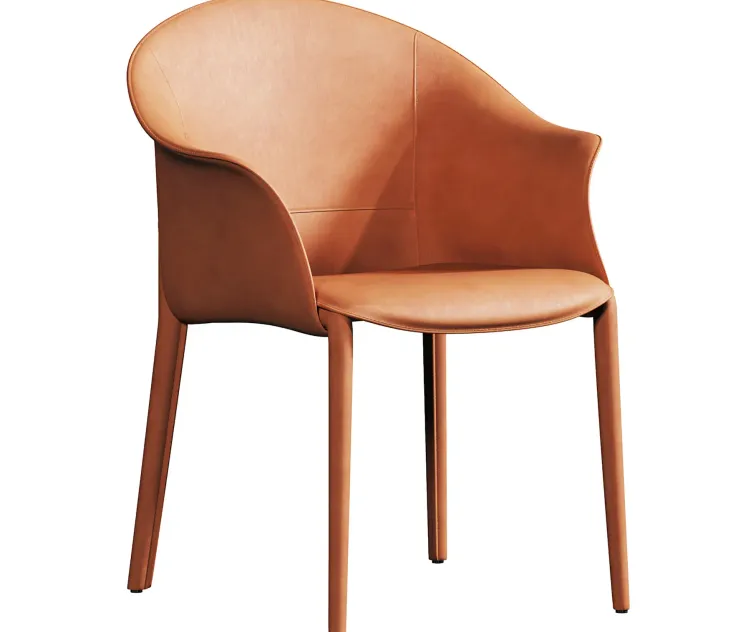 Leisure Dining Chair