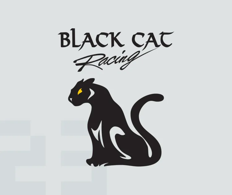 Black cat racing