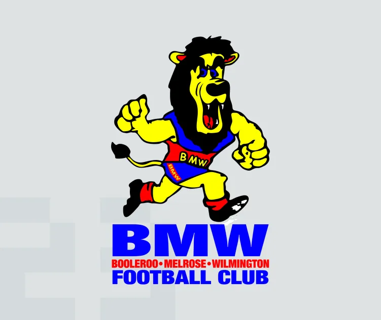 Bmw football club