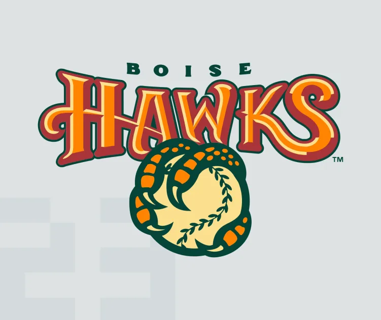 Boise hawks
