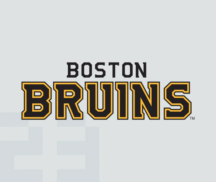Boston bruins