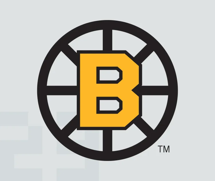 Boston bruins 1