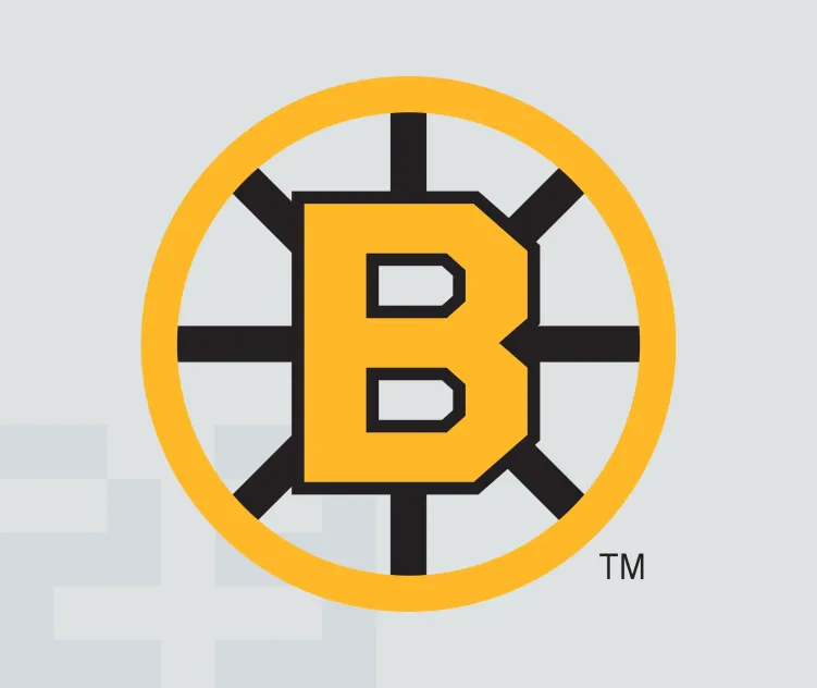 Boston bruins 3