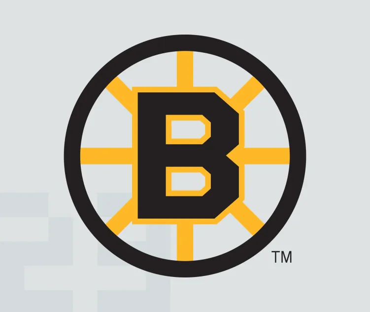 Boston bruins 5