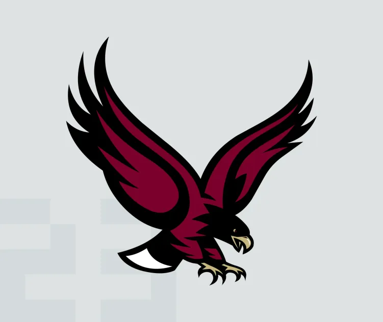Boston college eagles 2