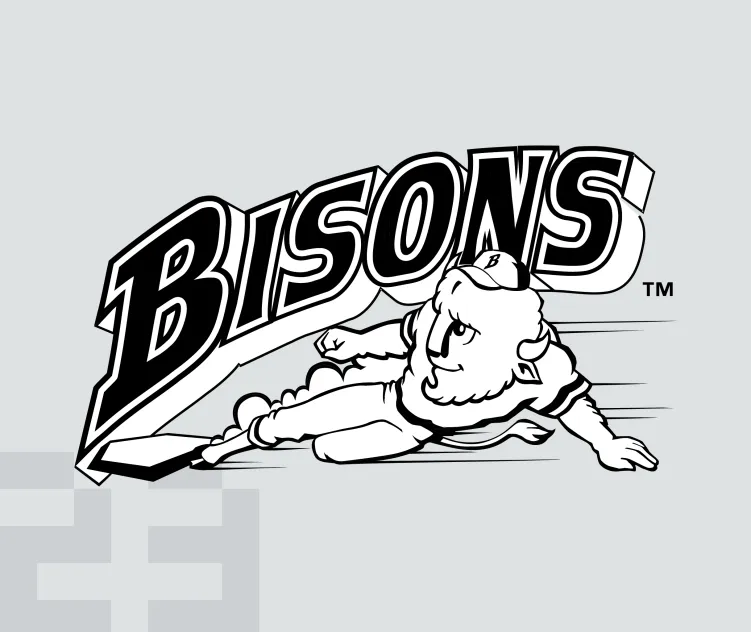 Buffalo bisons 2