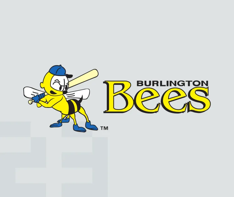 Burlington bees