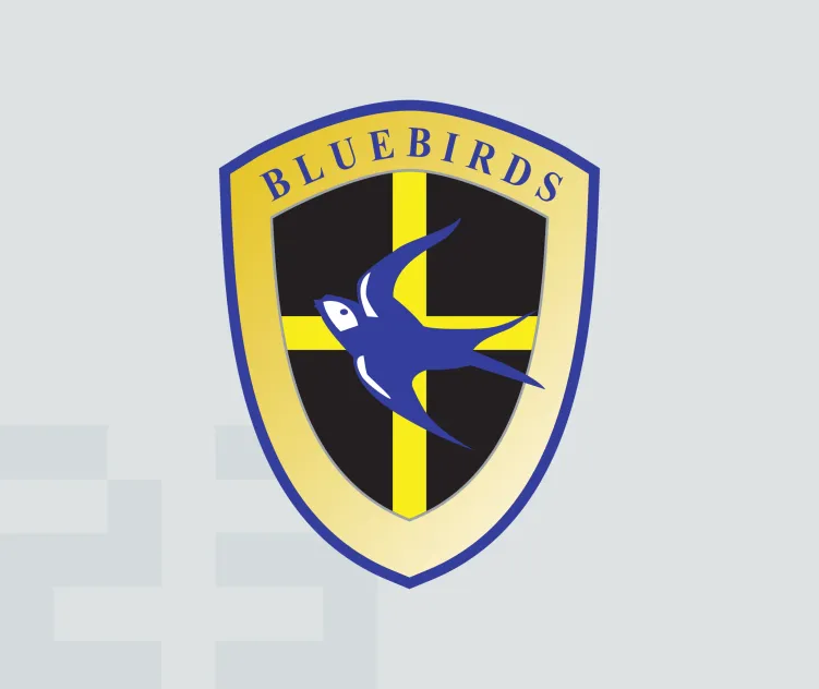 Cardiff city afc 1