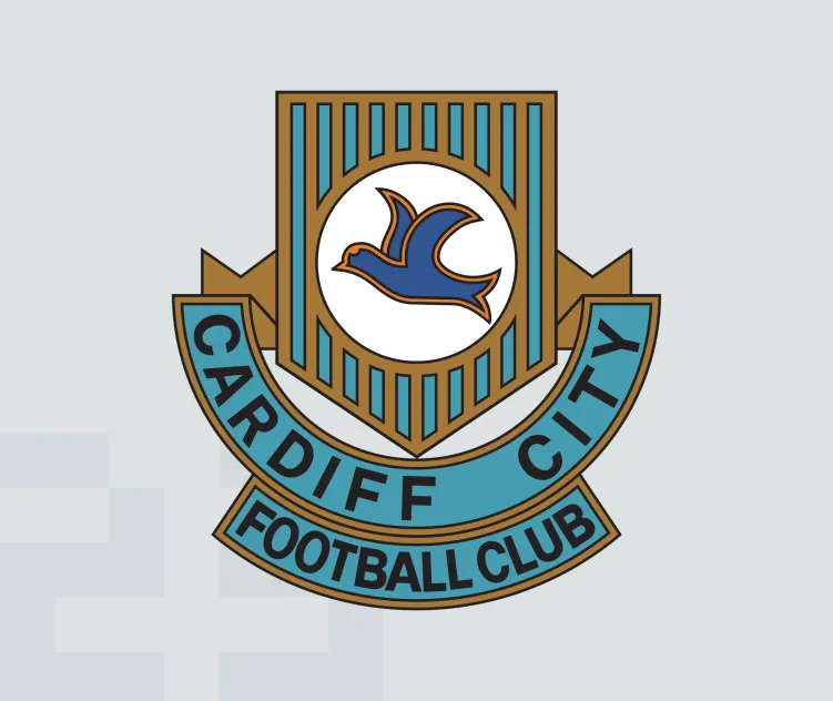 Cardiff city fc 1