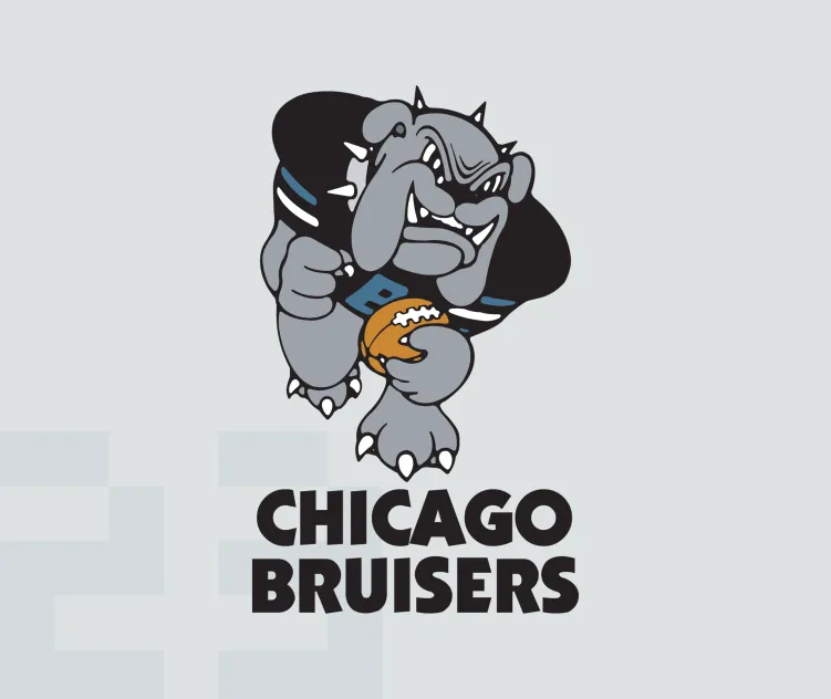 Chicago bruisers