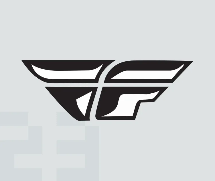 Fly racing 2