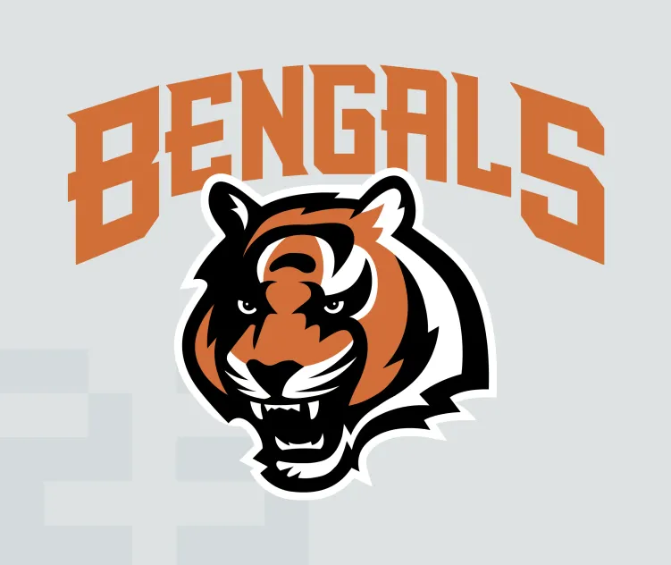 Cinncinati bengals 1
