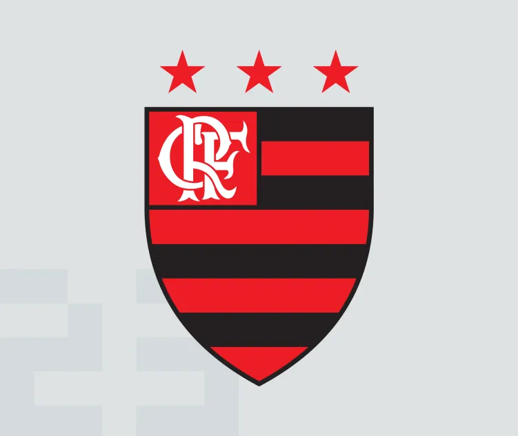 Clube de regatas do flamengo 8