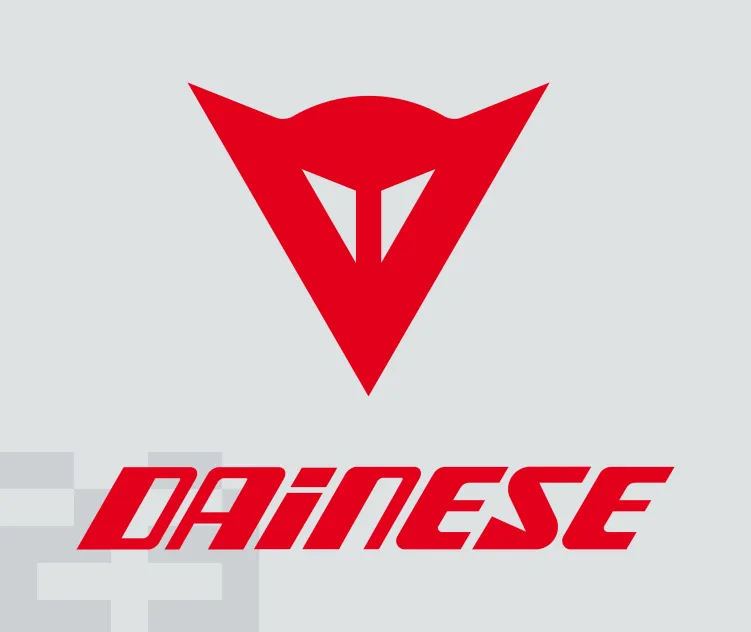 Dainese s p a