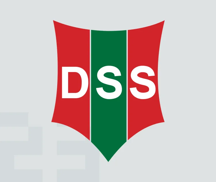 Dss rkvv haarlem
