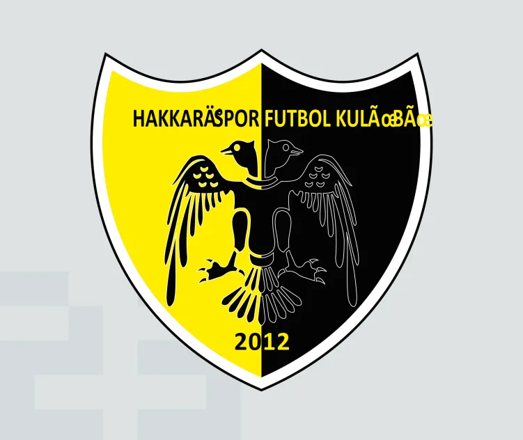 Hakkarispor futbol