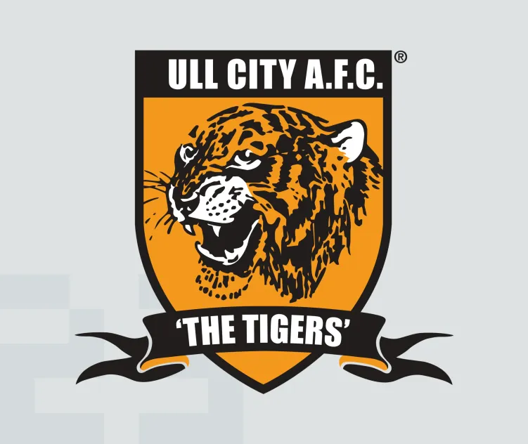 Hull city afc