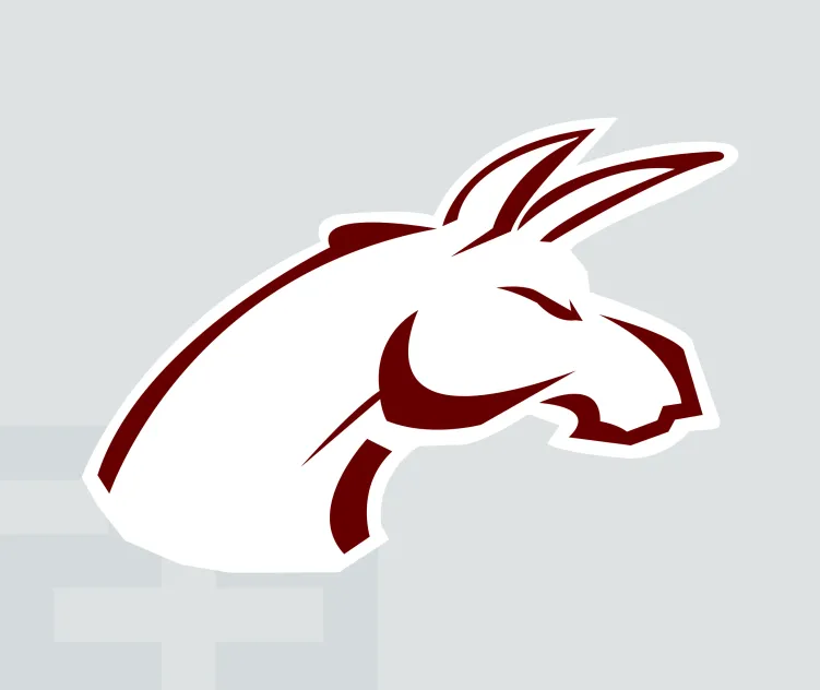 Ipn burros blancos