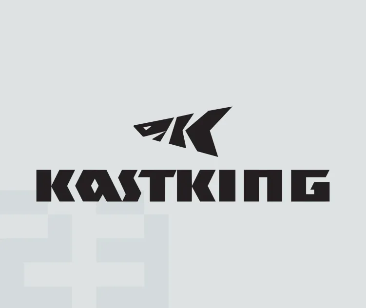 Kastking reel