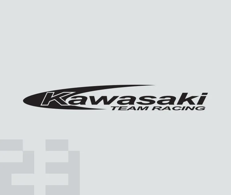 Kawasaki team racing