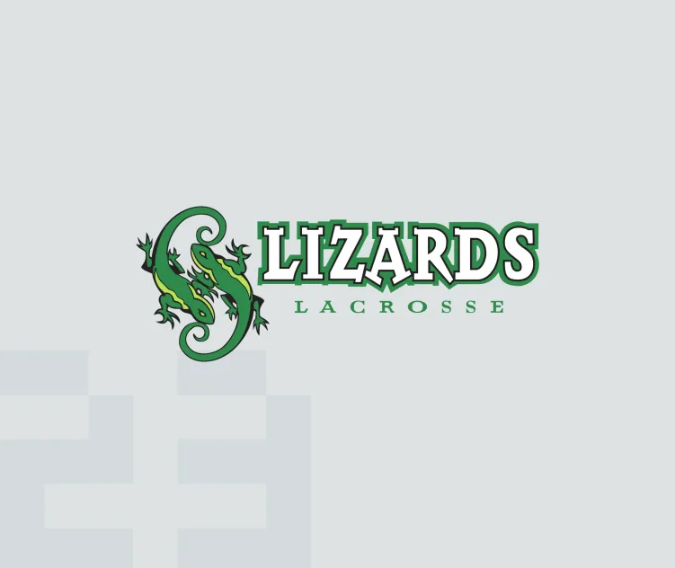 Long island lizards