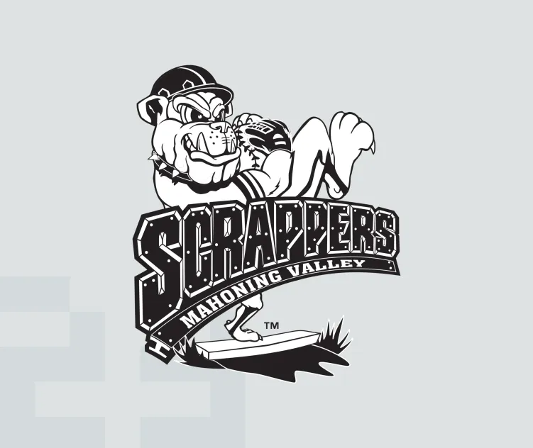 Mahoning valley scrappers 1