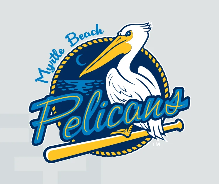 Myrtle beach pelicans