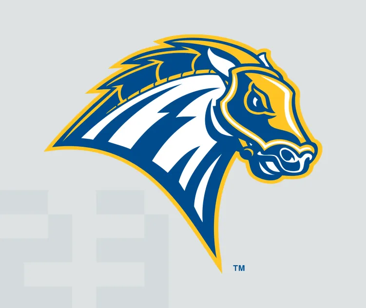 New haven chargers