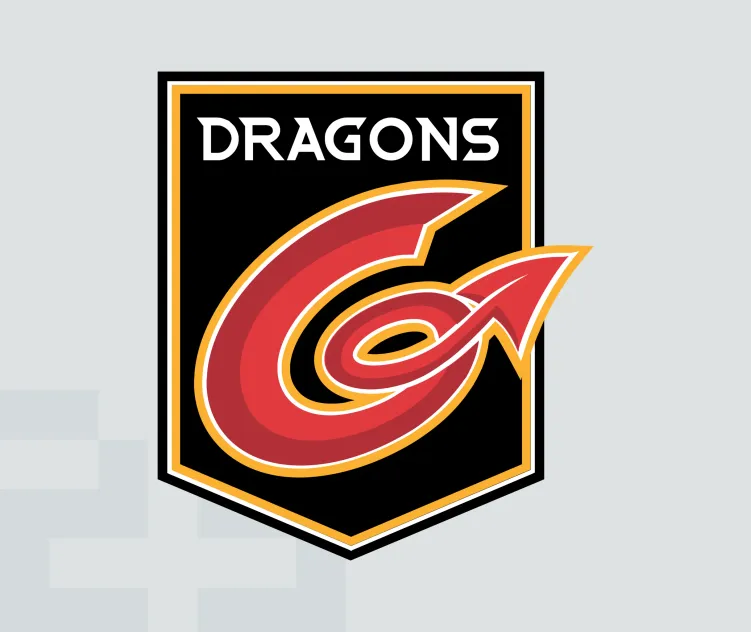 Newport gwent dragons