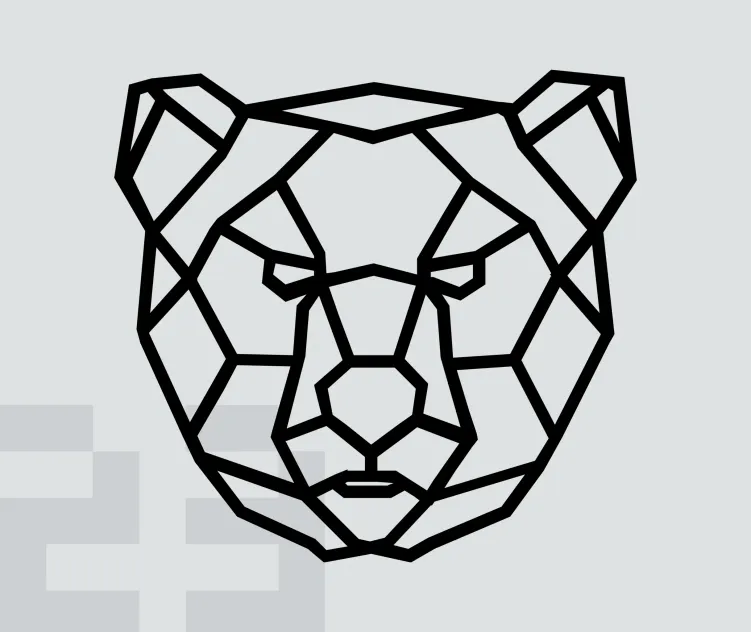 Bearwaves Bear