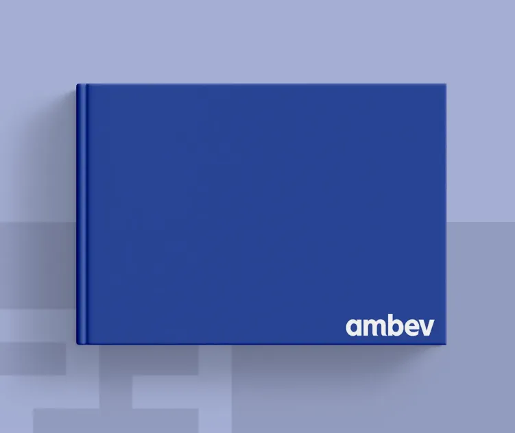 Ambev 2013