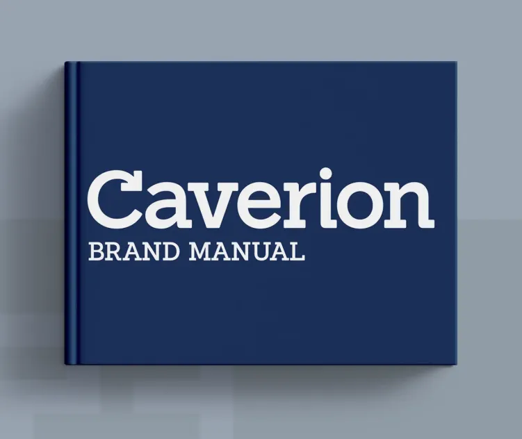 Caverion 2013