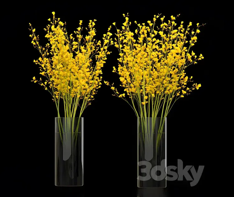 Big bouquet orchid oncidium in vase