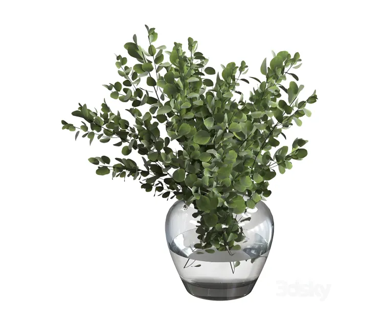 Bouquet green