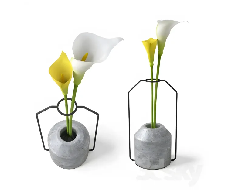 Calla in Weight Vases by Decha Archjananu