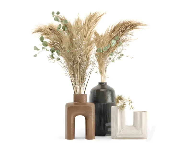 Dry plants dried plantset pampas with concrete vase