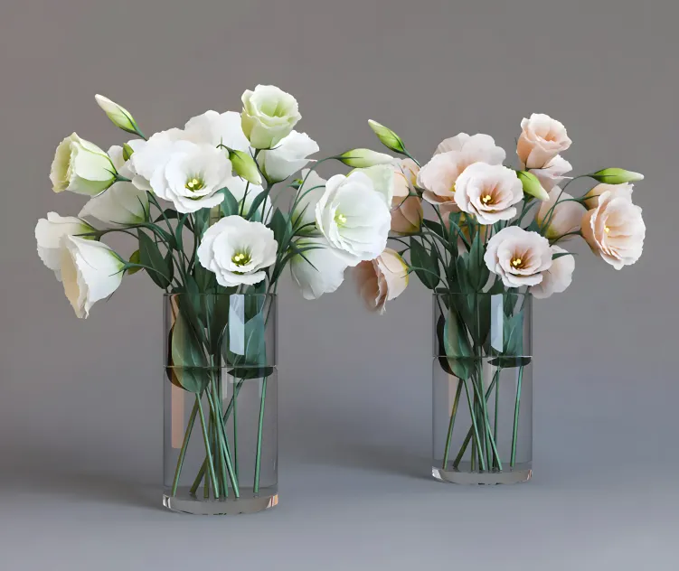 Eustoma
