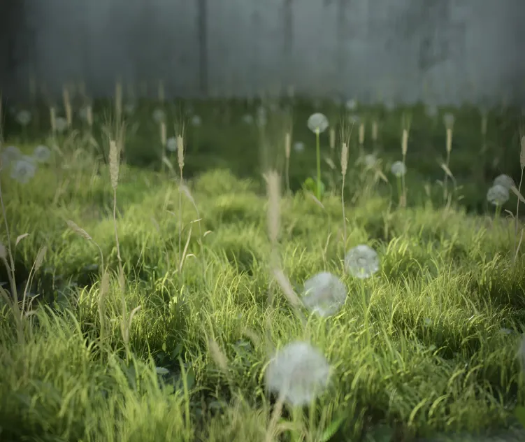Exorbitart real ground plants ir