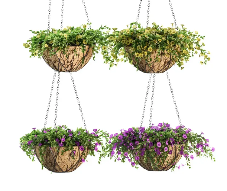 Flowers in a flower pot on a chain Petunia