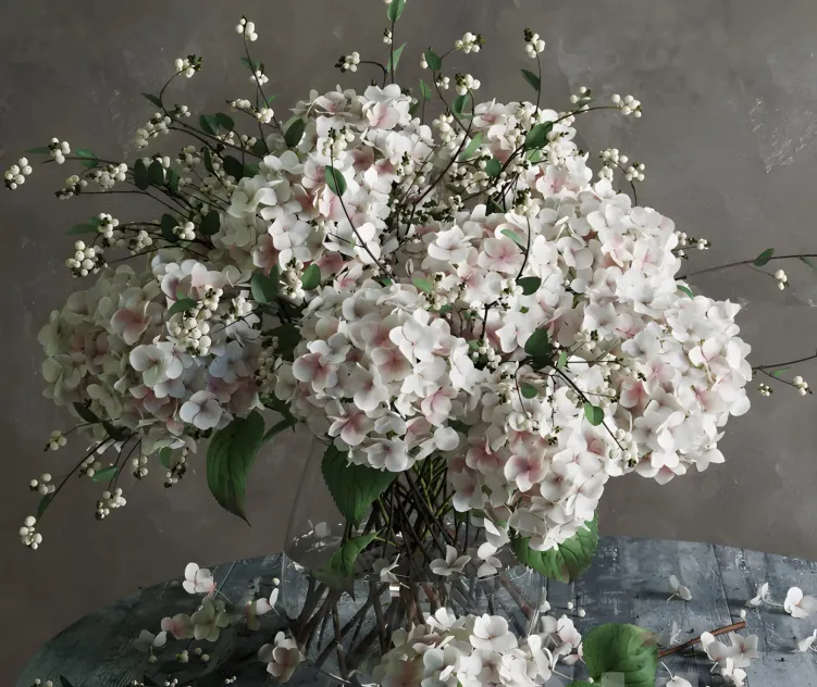 Hydrangea
