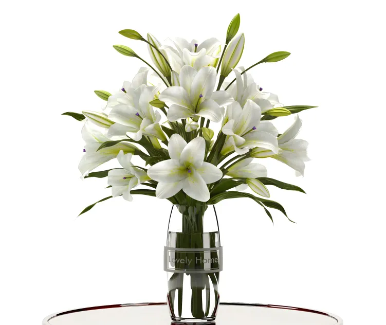 Lily