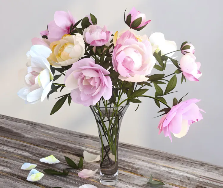 Peonies