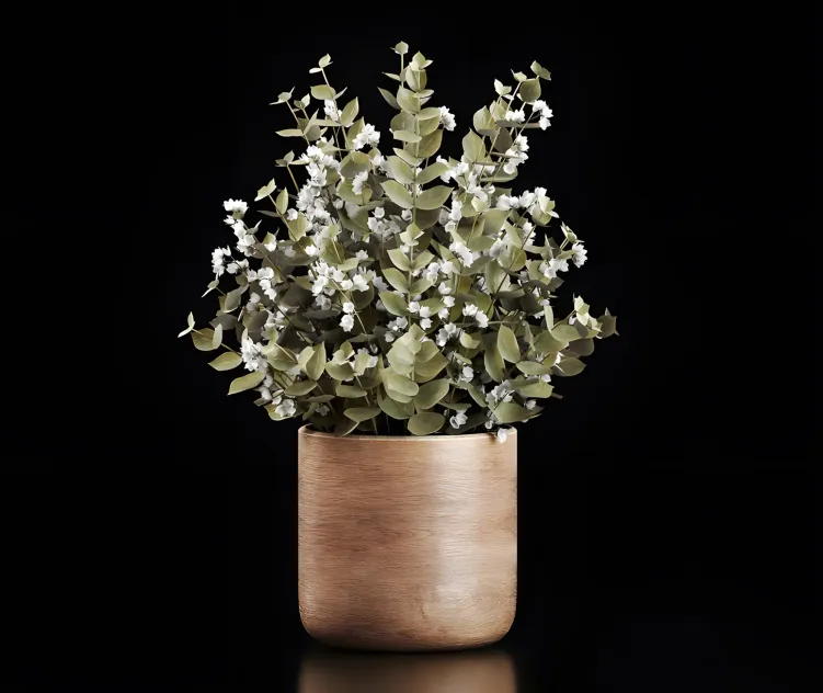 Plants bouquet
