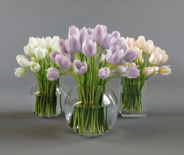 Three vases with tulips