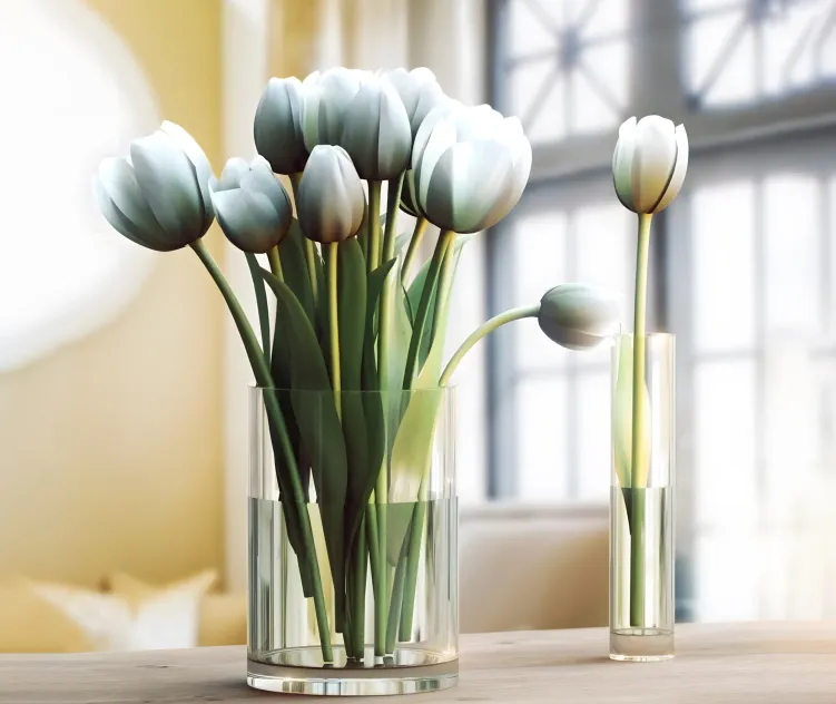 Tulipa in lucescu