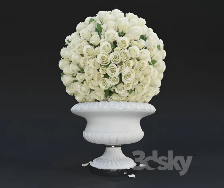 White roses