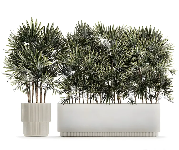 A collection of lush bushes of thickets of plants